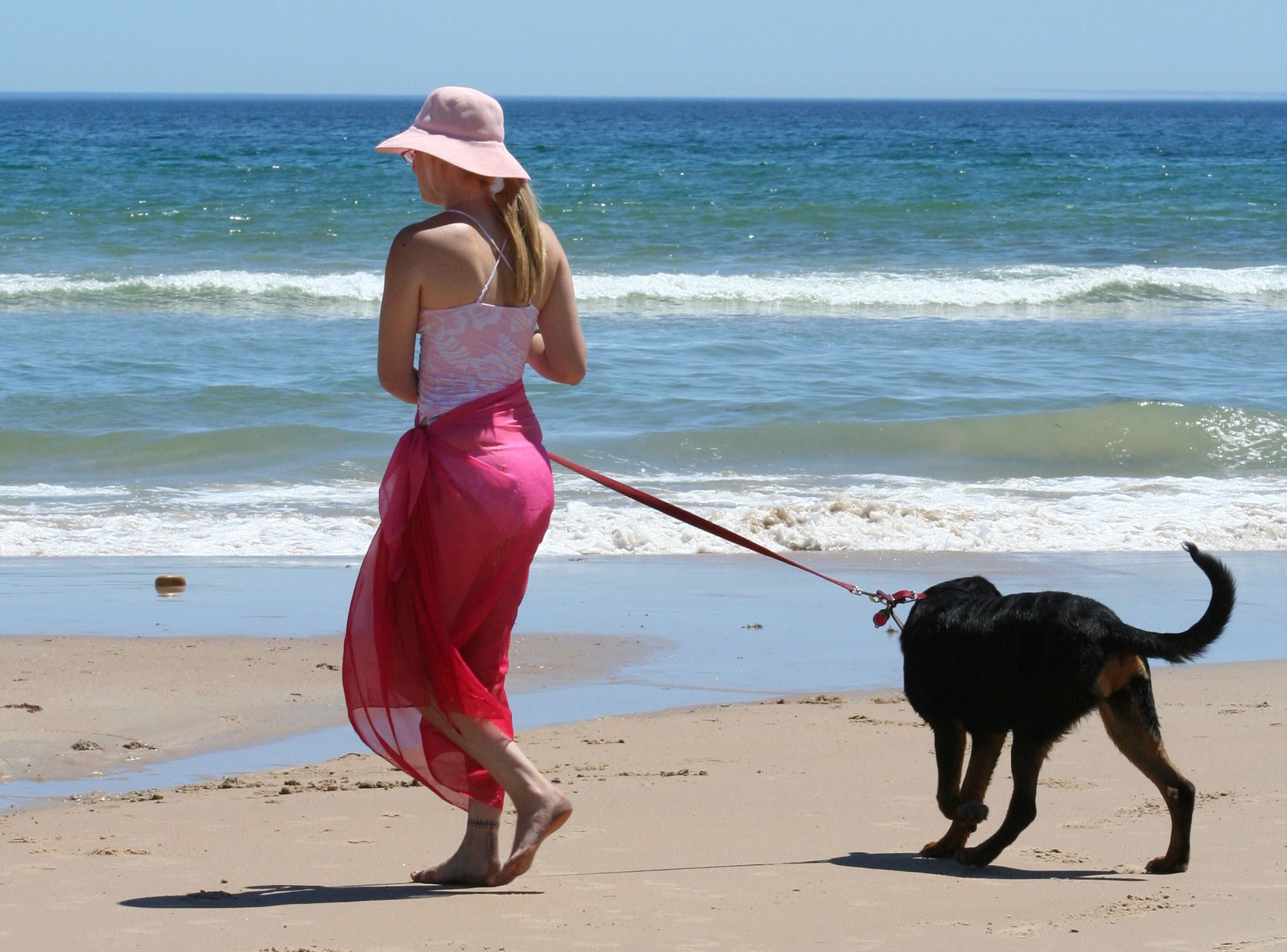 A Pregnant Woman's Best Friend