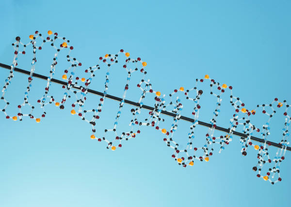 Gene Mutations may be a Risk Factor for Autism