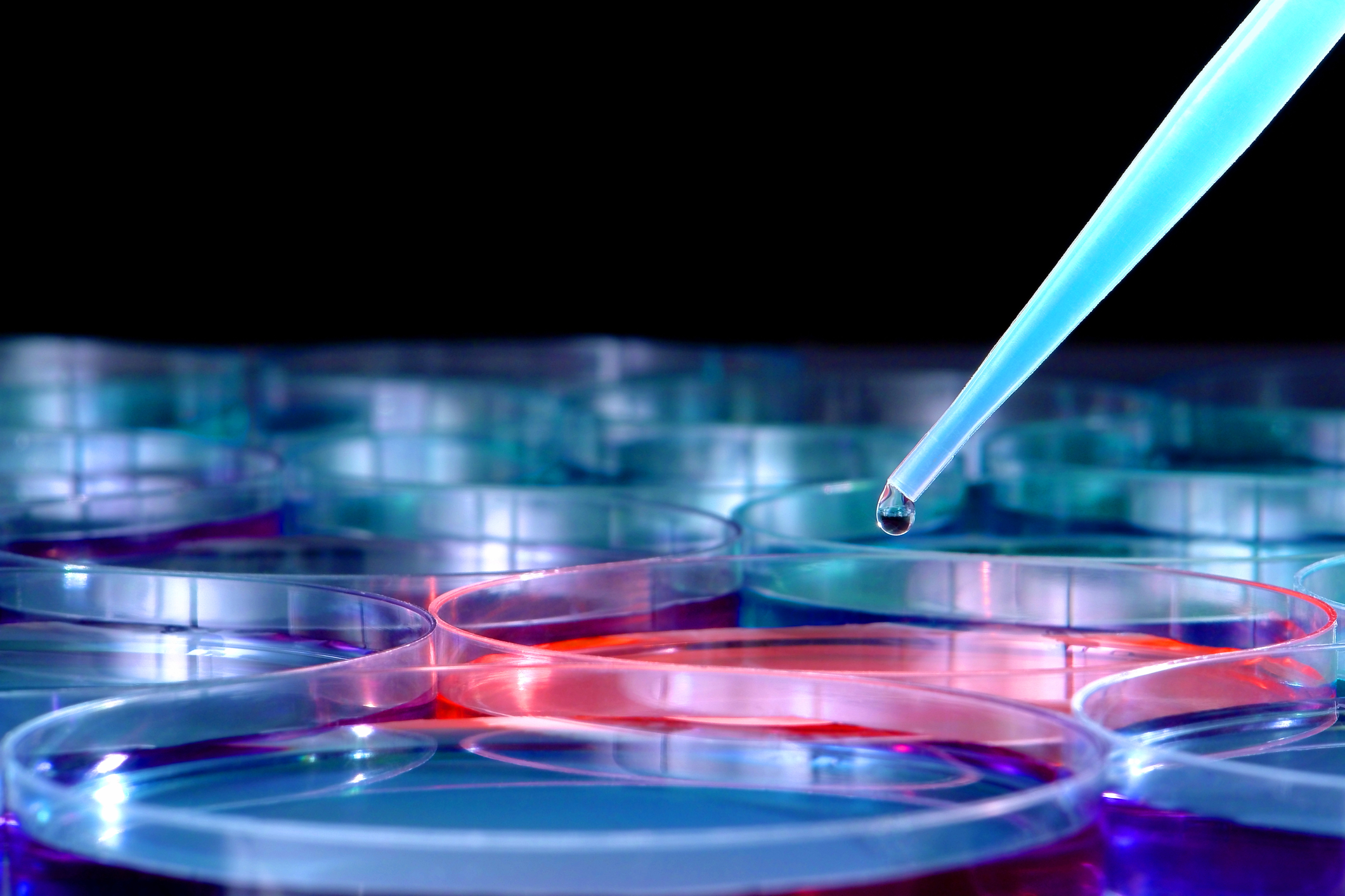 Hereditary Bleeding Disorder Rx Approved