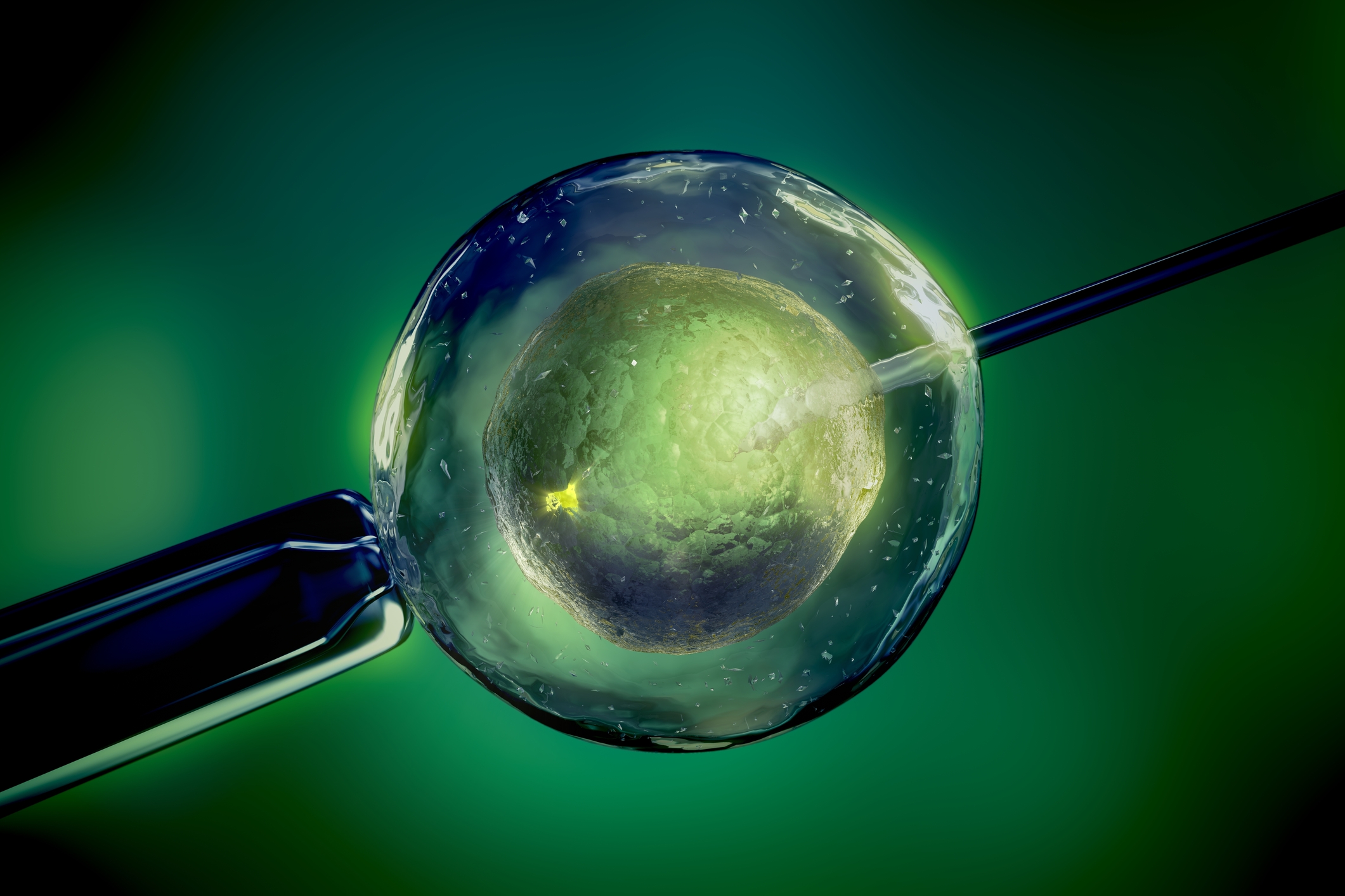 Good News for Kids Born by IVF