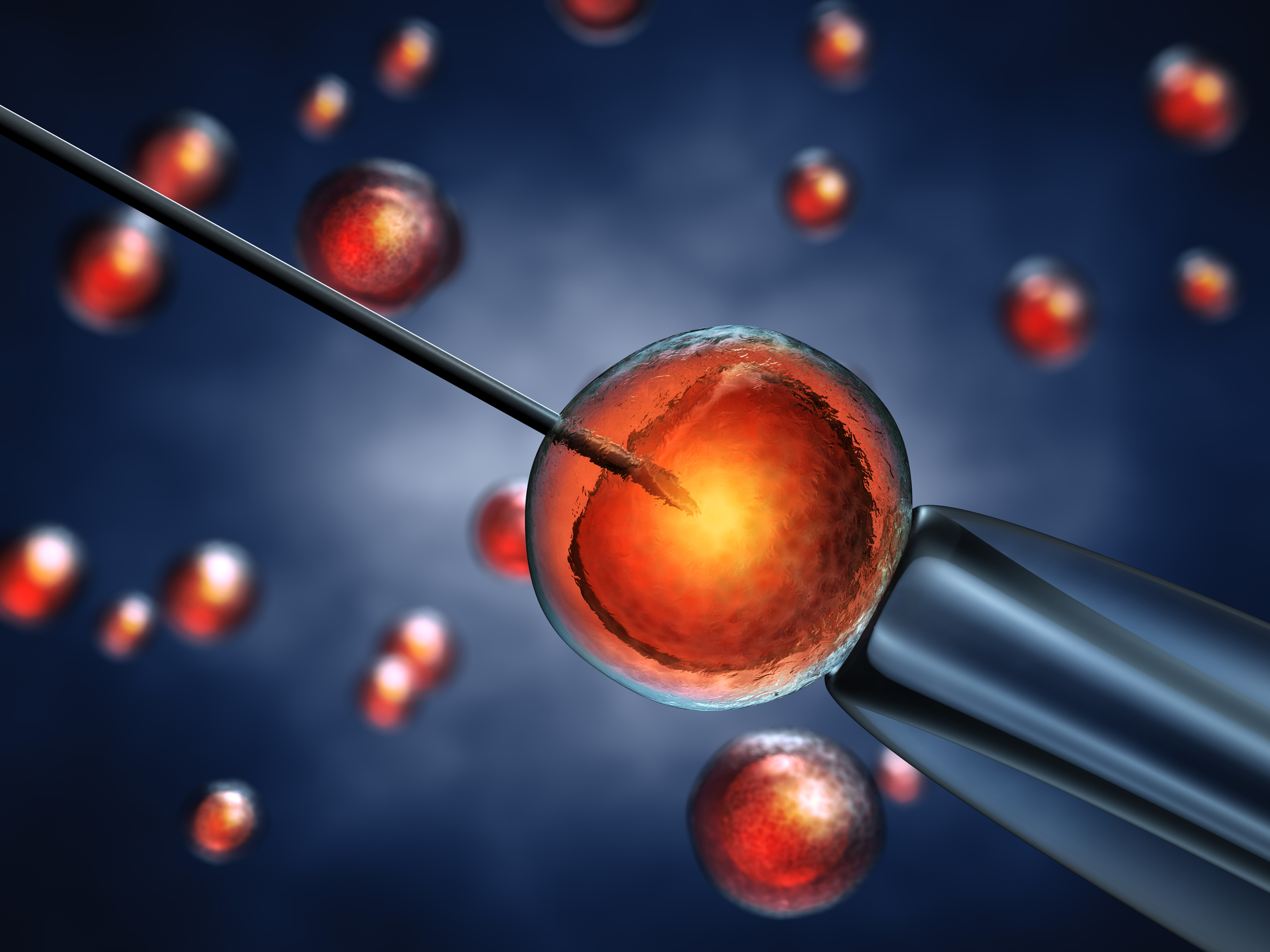 Prolonged IVF May Boost Baby Chances