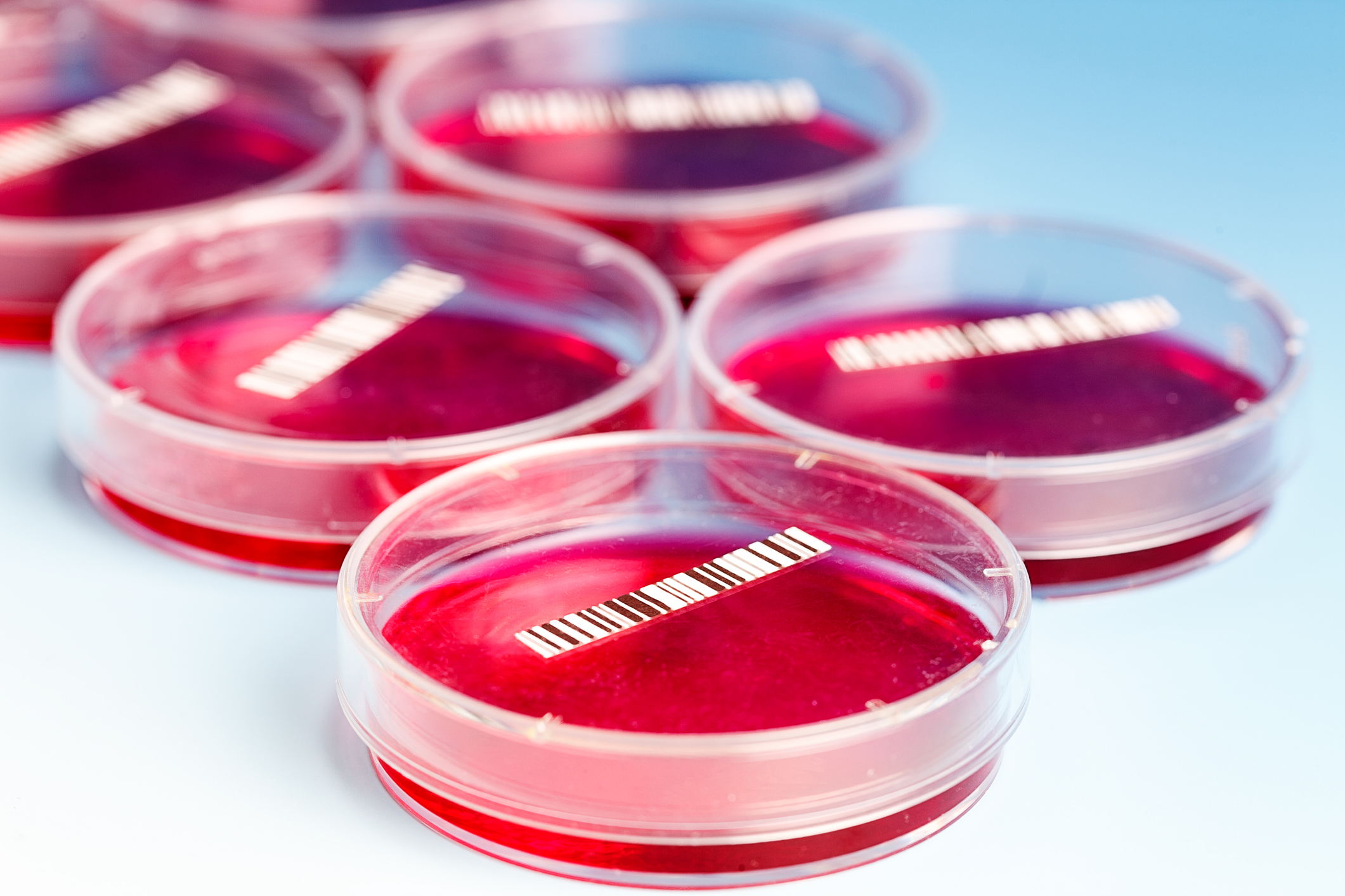 Viral Blood Levels Could Predict Ebola Outcomes