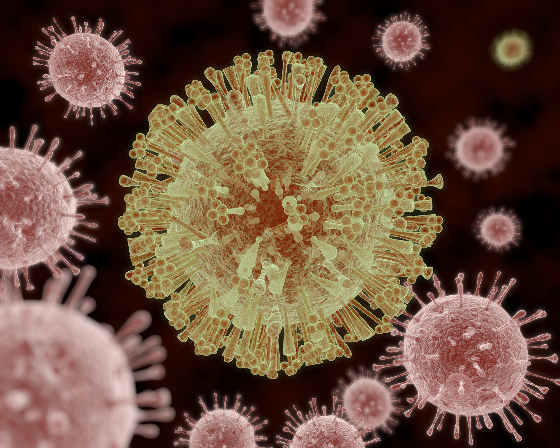 Don’t Panic Yet — Zika May Be Preventable
