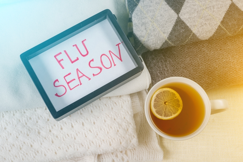 Flu Season Update