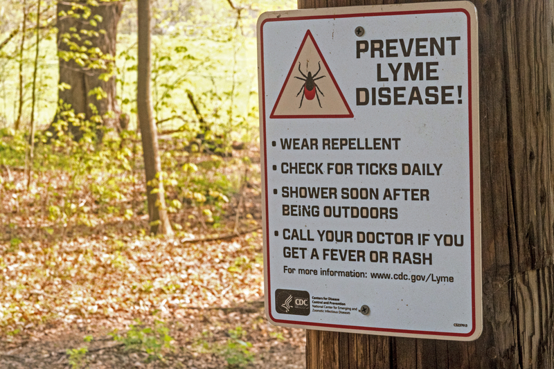 Preventing Lyme Disease