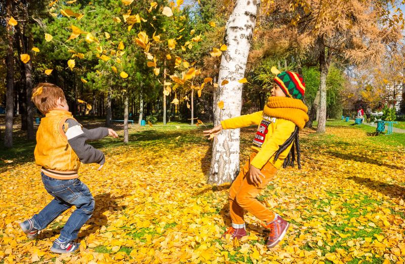 How to Stay Safe This Fall