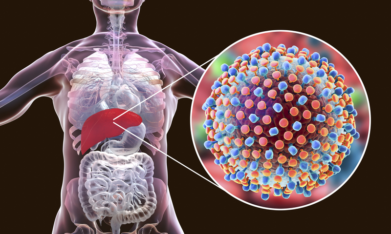 Hepatitis Explained