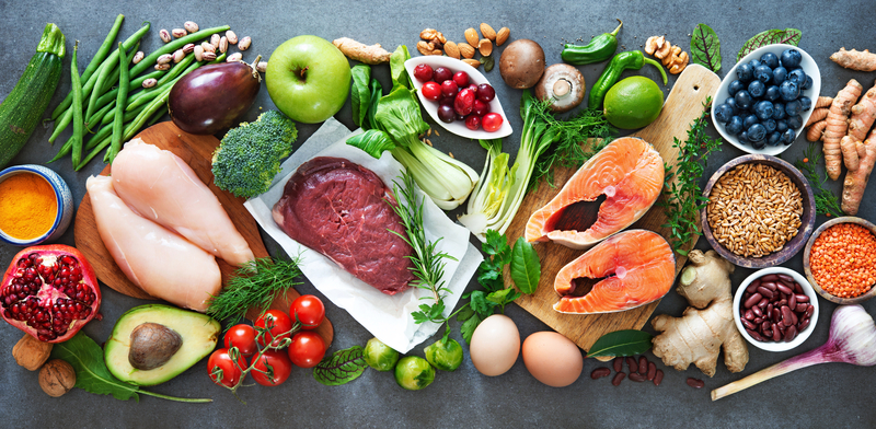Plant-Based Diets vs. Animal-Based Diets