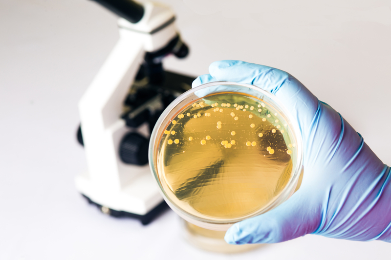 E. coli Outbreak Reported in Five States