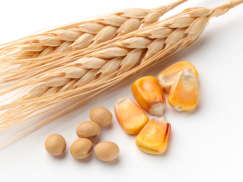 Subsidized Foods and Your Health