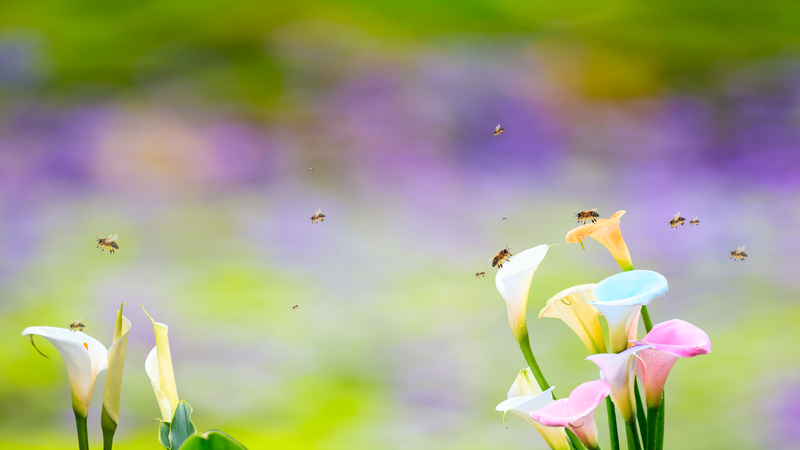 Allergy Capitals 2020: Did Your City Make the List?