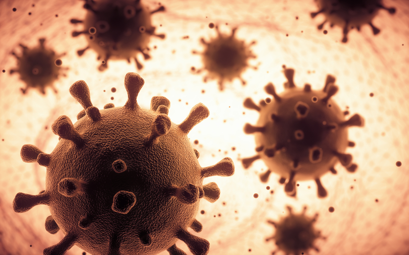 Understanding Virus Mutation