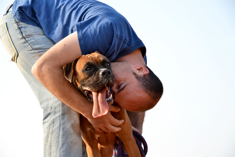 Your Dog May Protect Your Heart