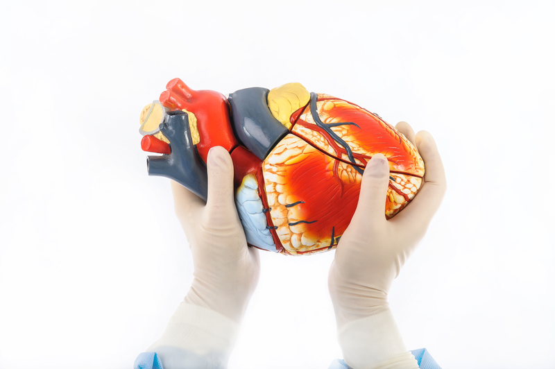 Wearable Vs. Implantable Defibrillators