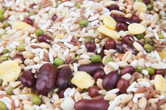 How Diet May Affect Your Colorectal Cancer Risk