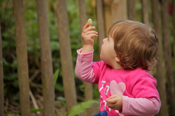 Introducing Peanuts to Infants