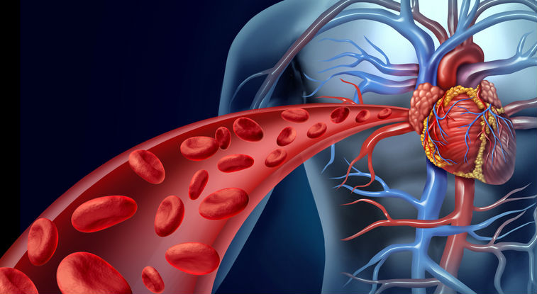 A New Rx to Prevent Heart Attack and Stroke