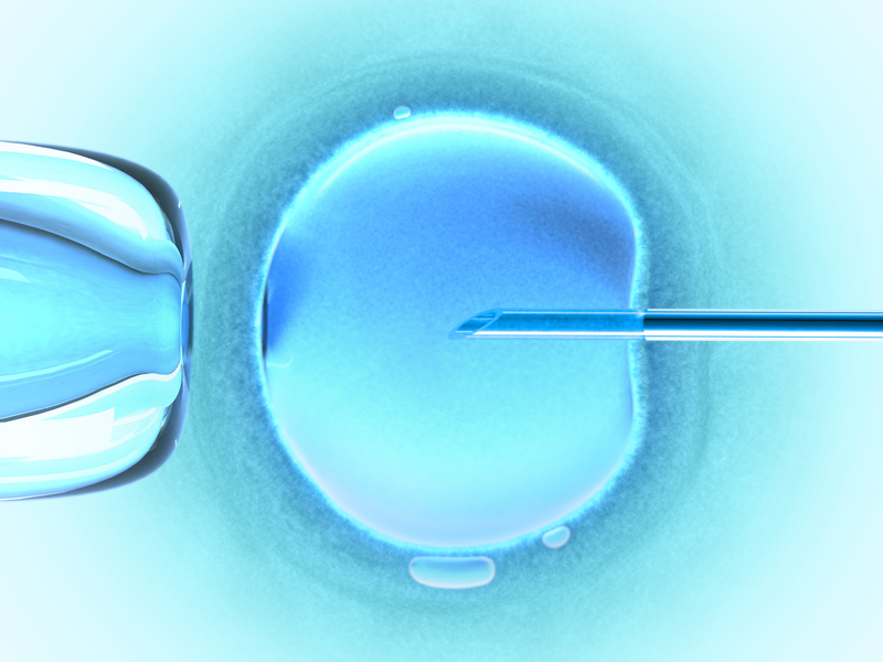 In Vitro and Breast Cancer Risk