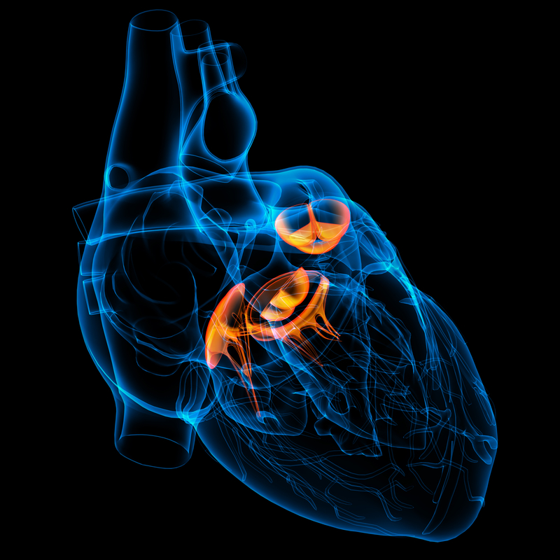 The Burden of Congenital Heart Defects