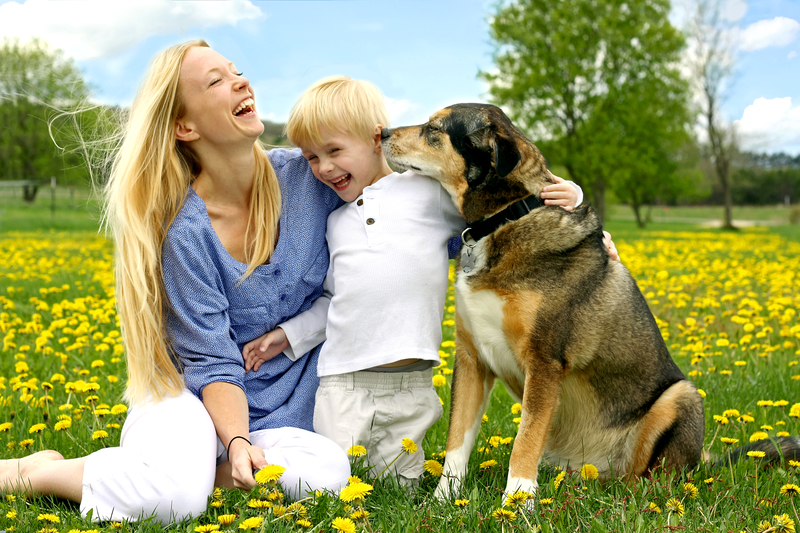 Allergy Rx Moves to Over the Counter
