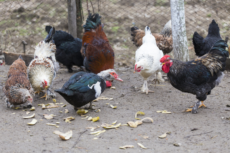 Salmonella Outbreak Ramps Up