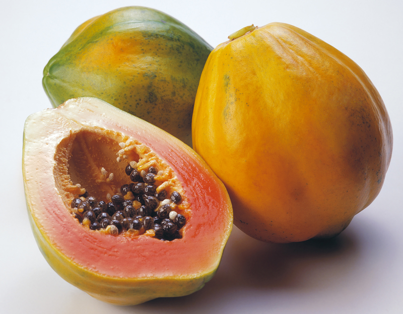 Outbreak Linked to Papayas