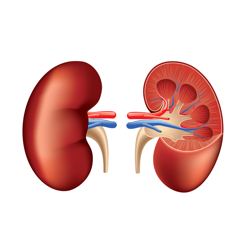 How Kidney Disease Might Affect Your Heart