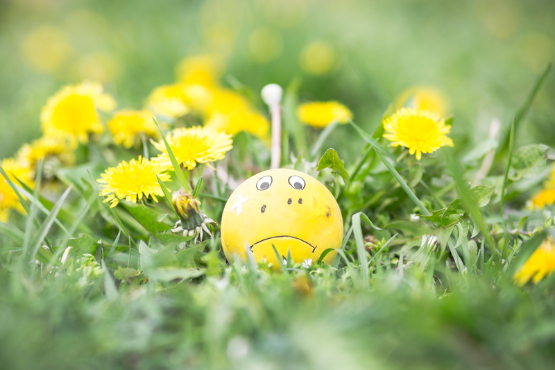 Something in the Air: Spring Allergies