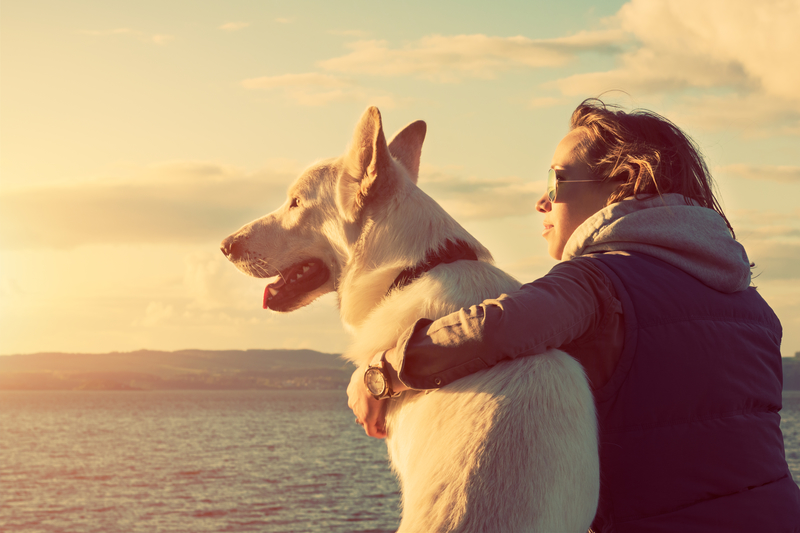The Power of Pets for Your Mental Health