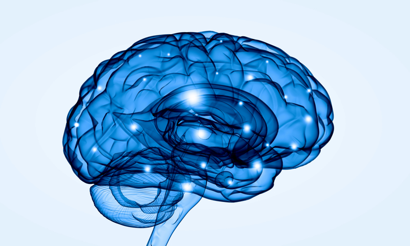 Diet, Exercise and Alzheimer's Risk