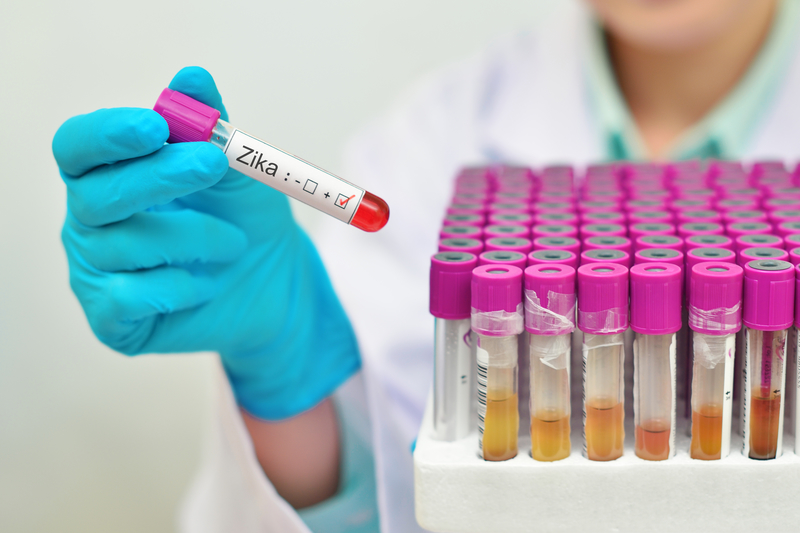 Zika and Birth Defects