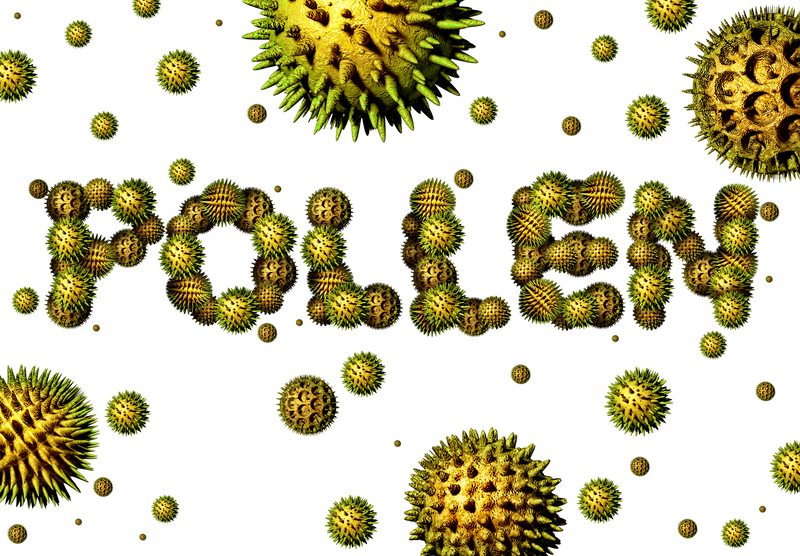 Are You Prepared for Allergy Season?