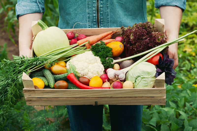 Why Eat Organic Produce?