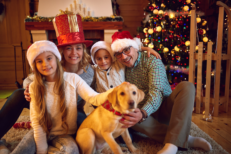 Staying Safe During the Holidays