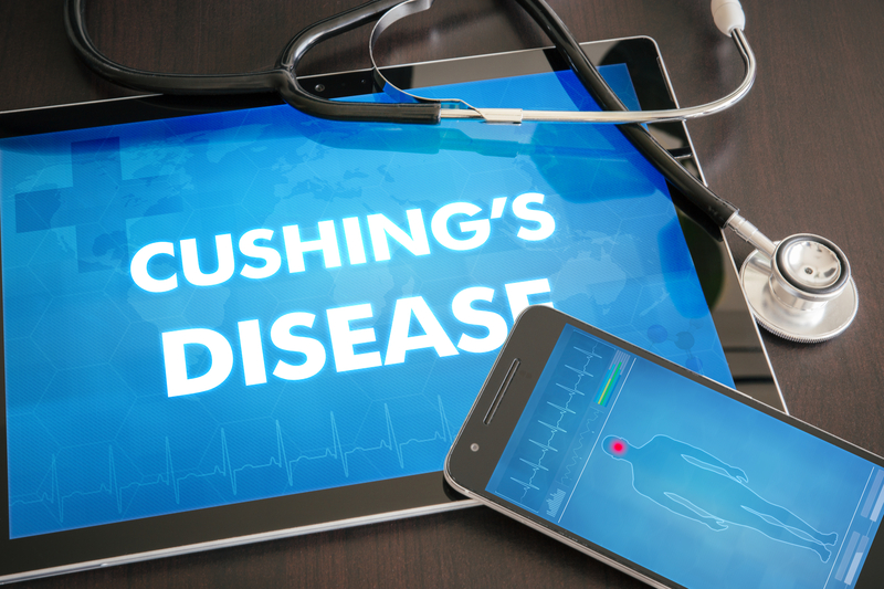 Cushing’s Disease Gets New Rx