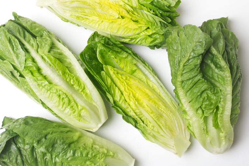 E. Coli Outbreak Tied to Lettuce