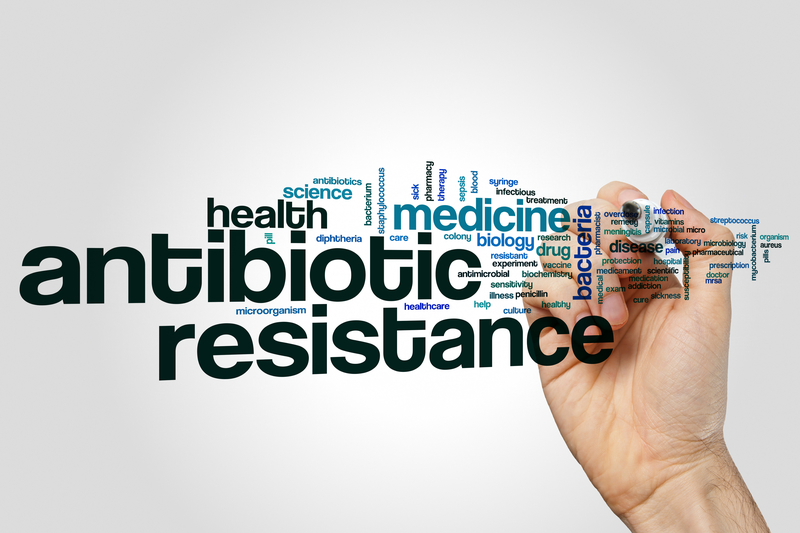 The Fight Against Antibiotic Resistance