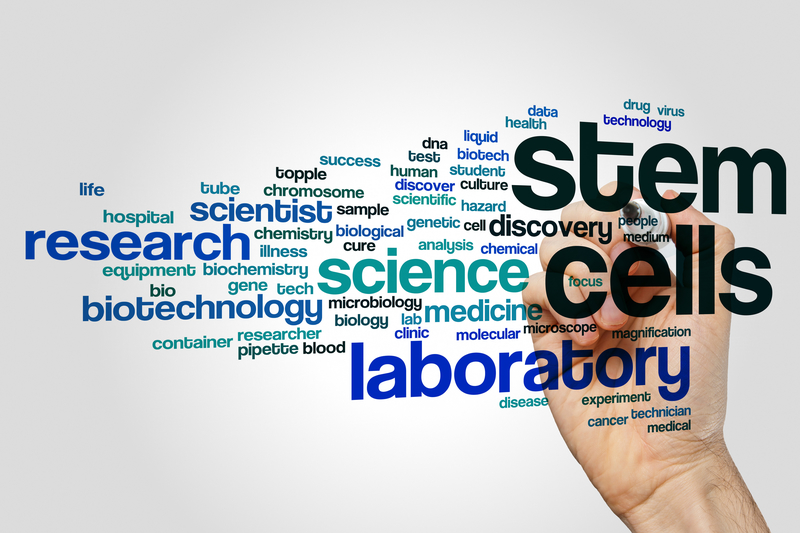 FDA Warns of Unapproved Stem Cell Treatments