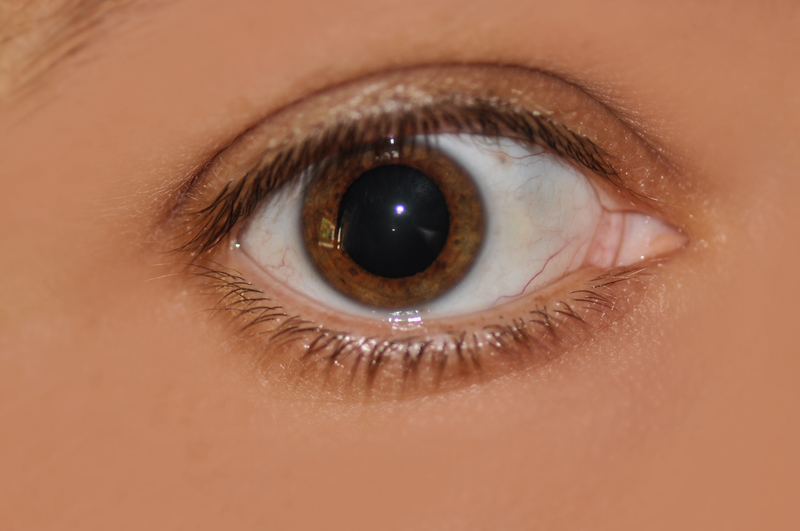 Take a Look at Your Eye Health