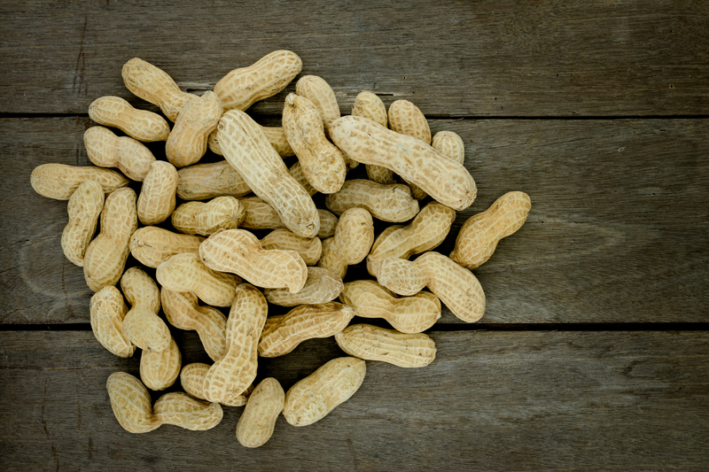 First Peanut Allergy Rx Approved 