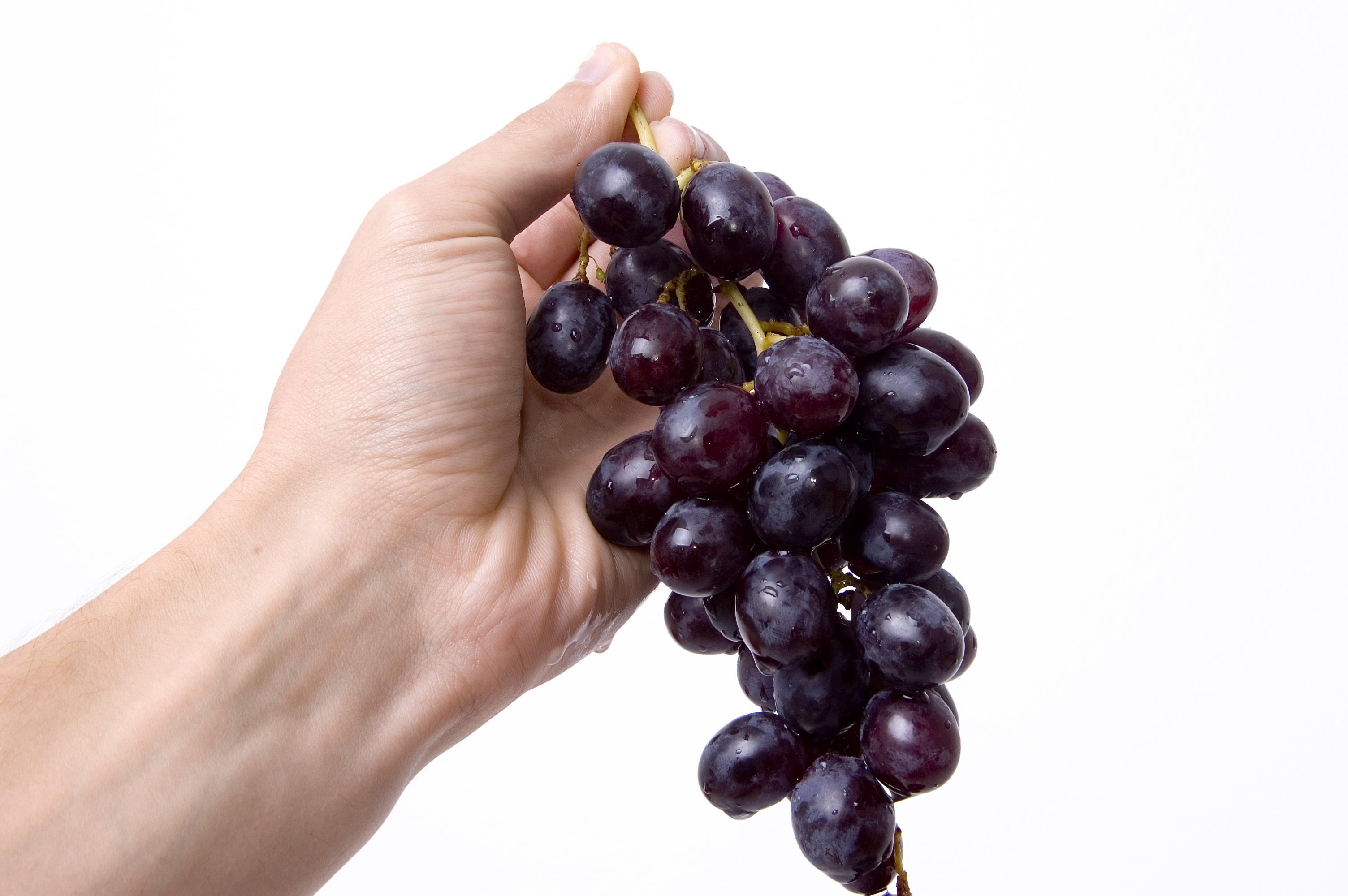 Grape Antioxidants Could Prevent Alzheimer's