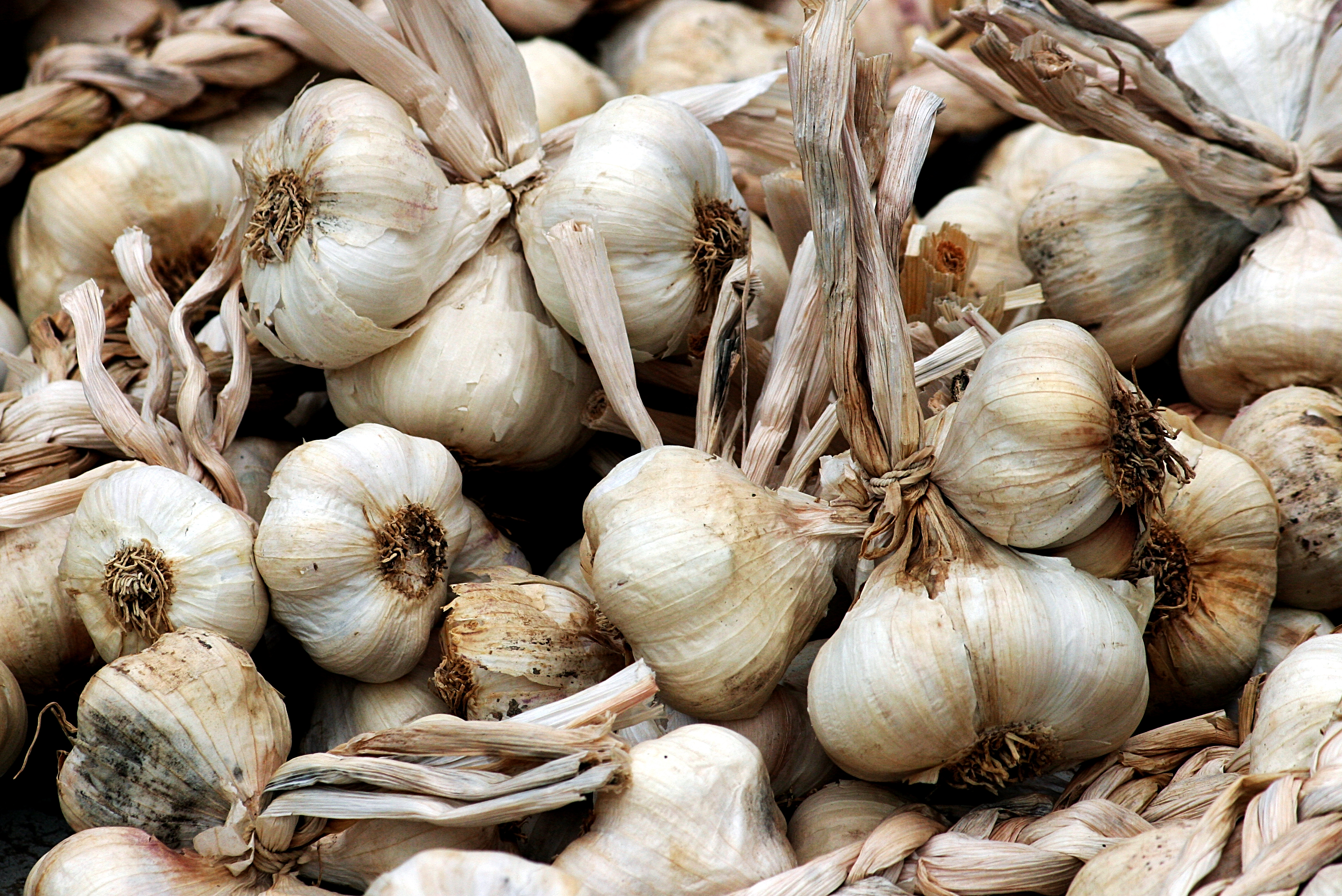 Herbs: What You Don't Know, Can Hurt You