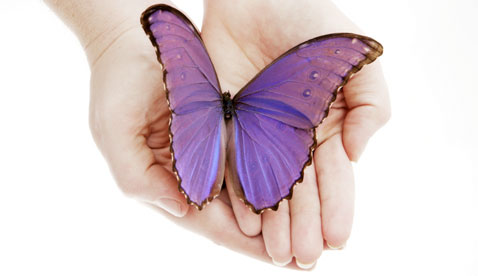 Diagnosing Lupus