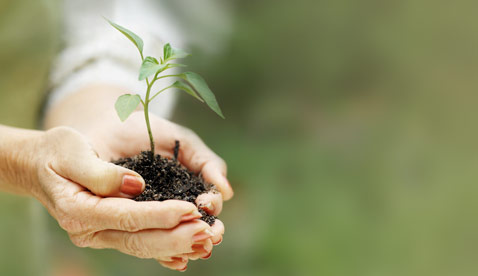 Nature's Remedies for RA