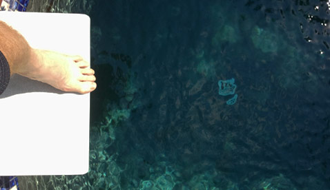 Swimming Your Way to Safe Summer Fun