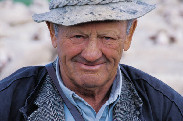 Your Aging Brain on Insulin