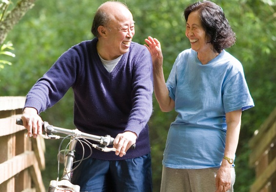 Stay Active, Keep the Brain Healthy?