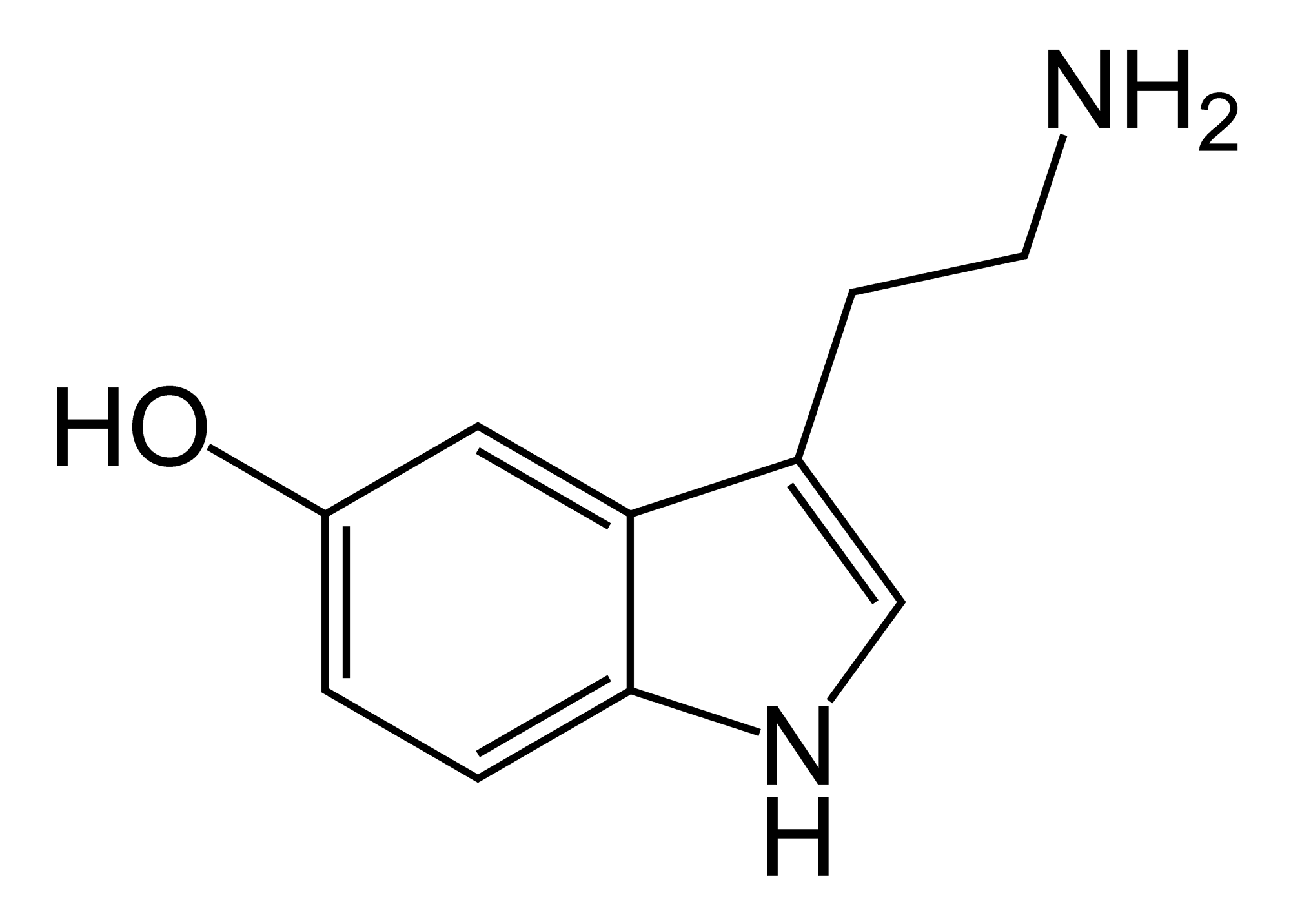 SERTified: Serotonin’s Link With Autism 