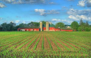 Fertilizing Breast Cancer Risks