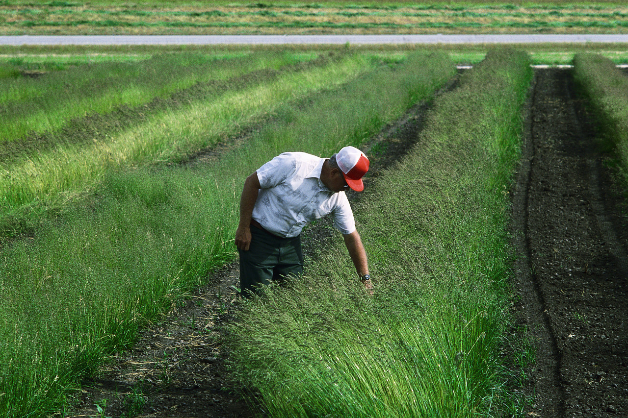 EU Nearing Deal for Farmers Impacted by E. Coli